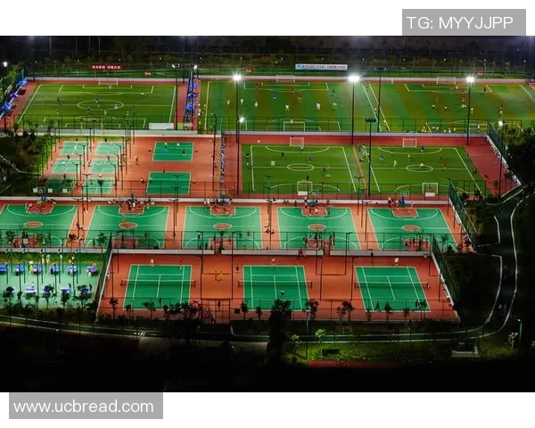 以体育公共艺术为核心推动全民健身文化建设与城市发展融合创新探索 以体育公共艺术为核心推动全民健身文化建设与城市发展融合创新探索