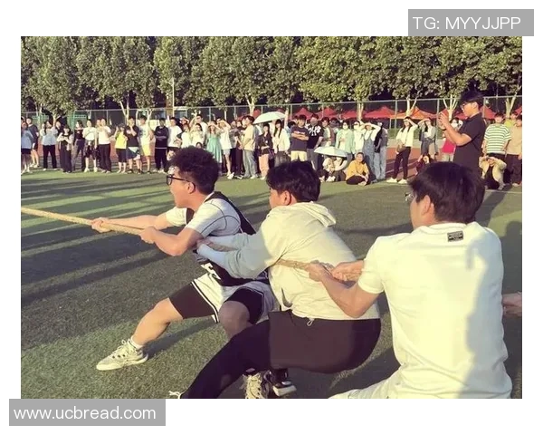 竞技精神与团队协作：探索体育竞技中个人与集体的完美融合