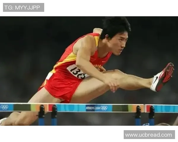 追寻金光闪耀的梦想 奥运金牌背后的故事与荣耀