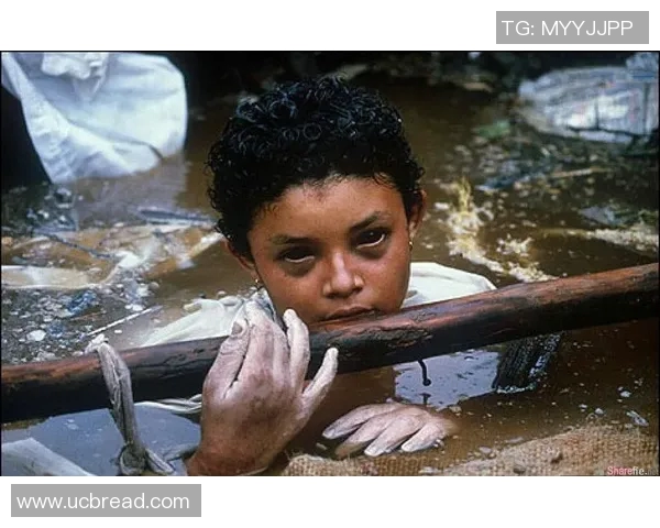 上海极限运动队团队协作引发热议与争议的背后故事