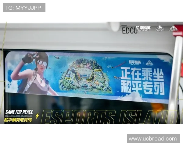 和平精英深度剖析:探寻FPX成功运营背后的秘密与策略 和平精英深度剖析:探寻FPX成功运营背后的秘密与策略