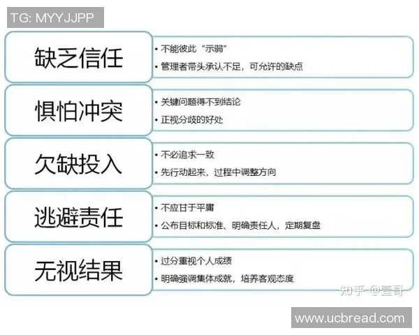 南京网球队在城市联赛中的灵活战术与团队协作表现分析 南京网球队在城市联赛中的灵活战术与团队协作表现分析