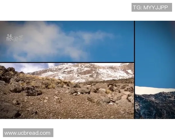 吴伟独家分享攀岩技巧与心得体会助你征服高峰 吴伟独家分享攀岩技巧与心得体会助你征服高峰