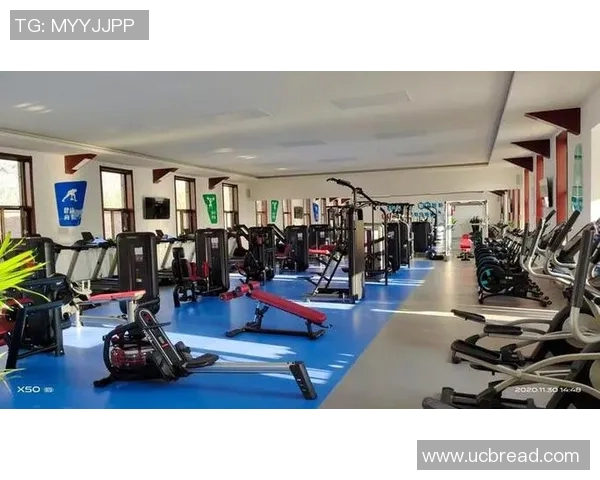 家庭健身器材批发市场现状及采购建议