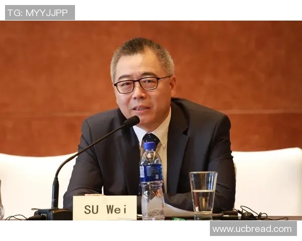 王芳畅谈网球生涯回顾与未来展望的精彩对话