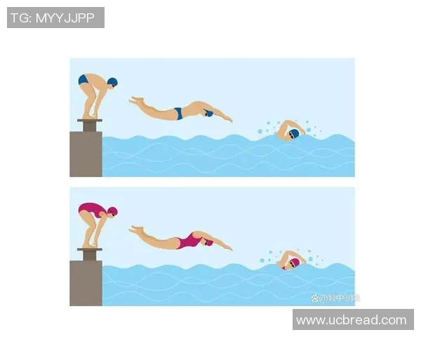 提升蛙泳效率的关键技巧与训练方法全解析