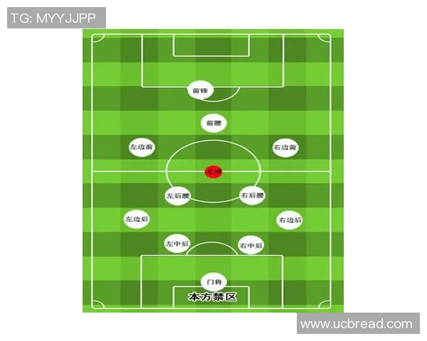 意甲赛事中参与比赛的全部球队名单与分布分析