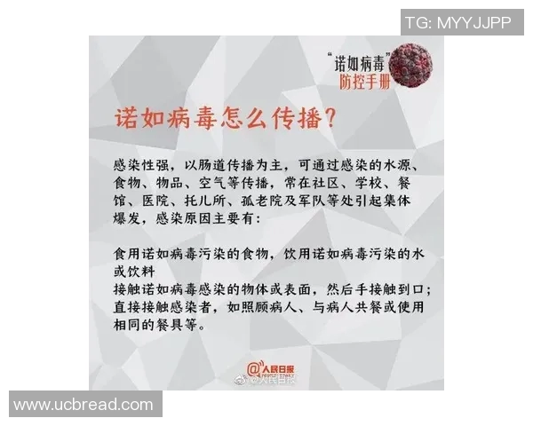 北京飞盘队盯防策略分析与比赛表现的得失总结