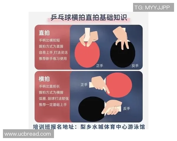 吴芳独家分享乒乓球技巧与心得助你提升球技的全面指南