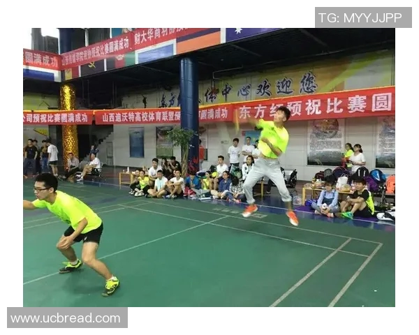 广州羽毛球队在精英赛中的技术表现分析与总结 广州羽毛球队在精英赛中的技术表现分析与总结