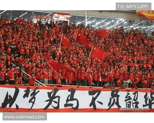 冯姓足球明星在中国足坛的崛起与成就探讨 冯姓足球明星在中国足坛的崛起与成就探讨