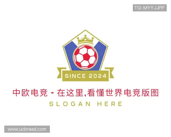 发现中欧电竞